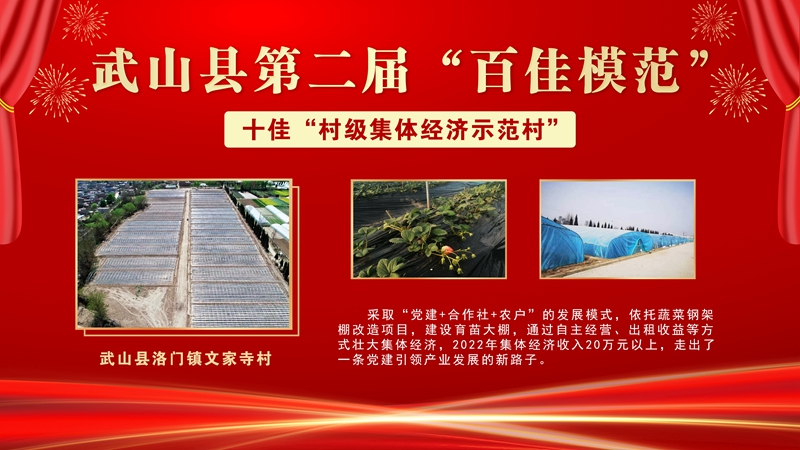 1武山县洛门镇文家寺村