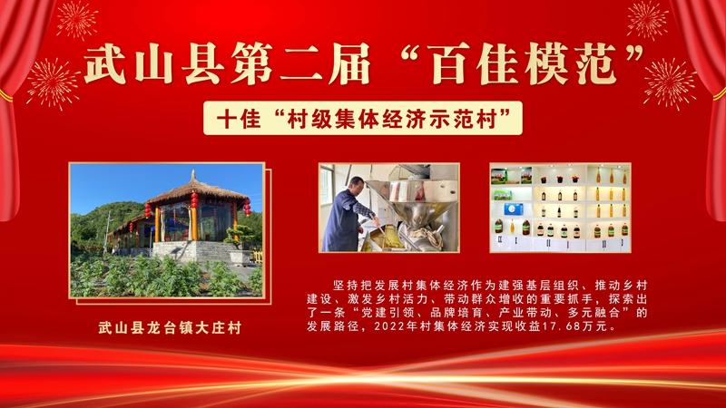 7武山县龙台镇大庄村