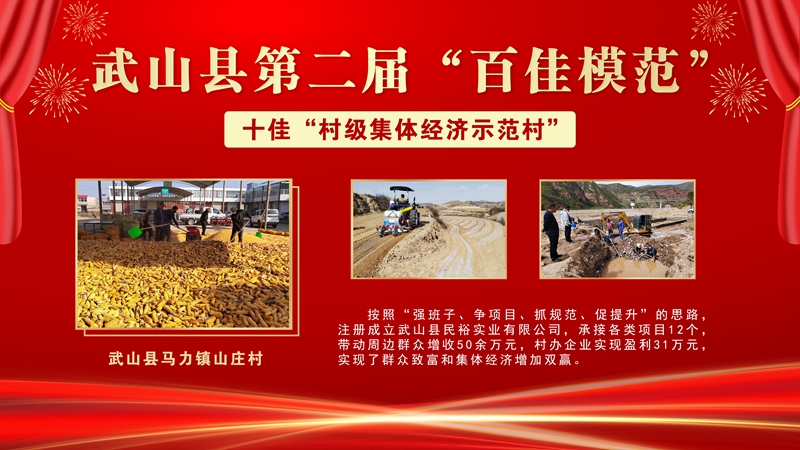 4武山县马力镇山庄村