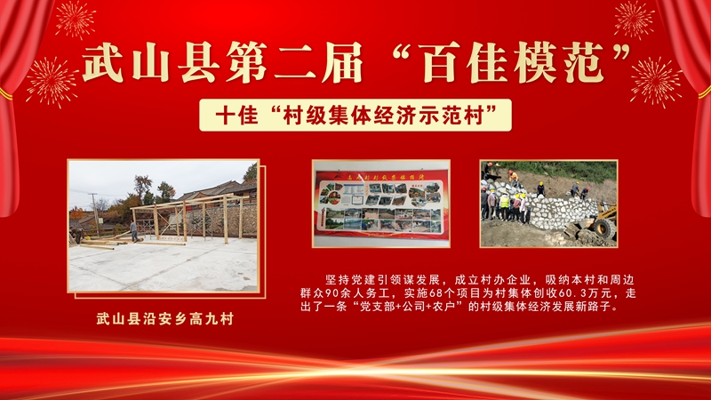 9武山县沿安乡高九村