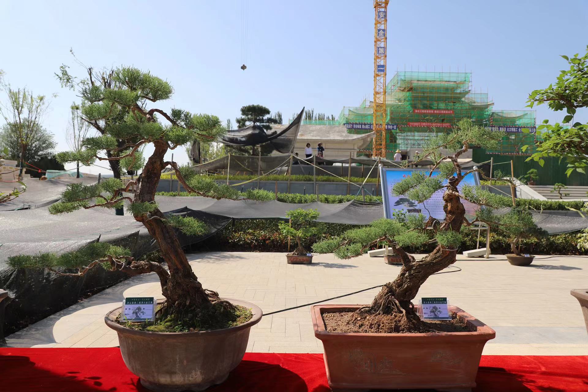 微信图片_20230624224059