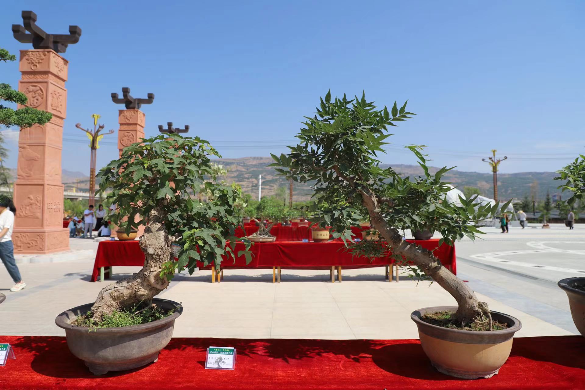 微信图片_20230624224055