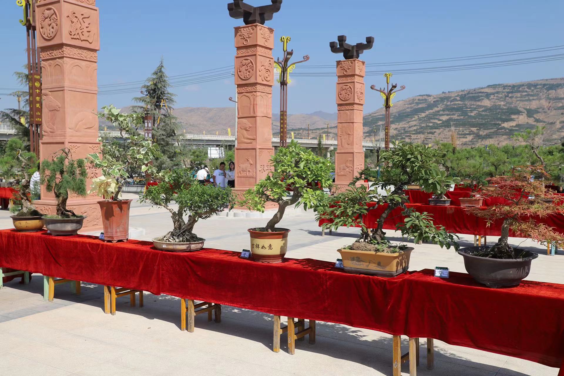 微信图片_20230624224053