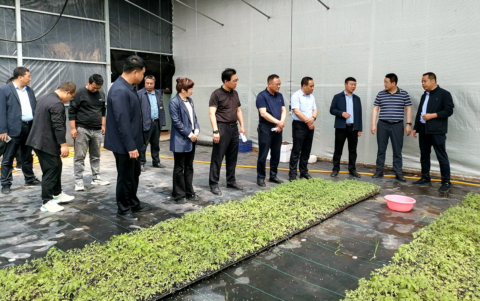 微信图片_20230608093536_副本