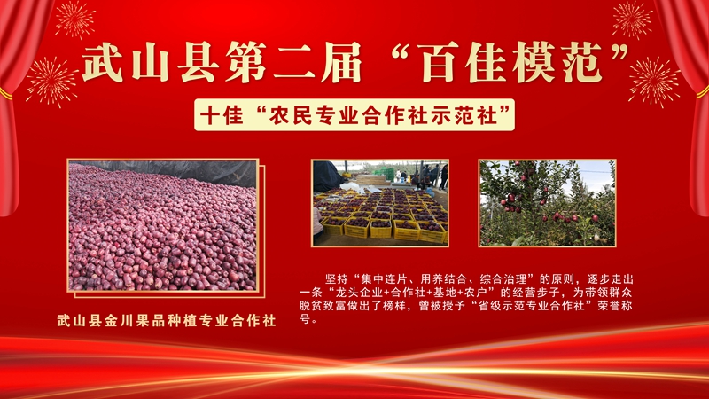 4金川果品种植专业合作社