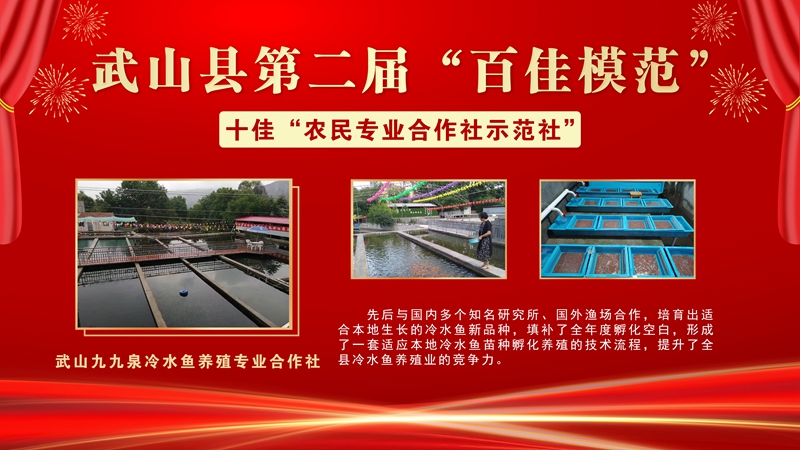 9九九泉冷水鱼养殖专业合作社