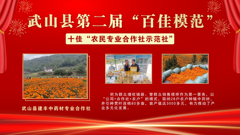 2建丰中药材专业合作社