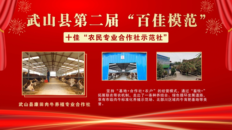 7康田肉牛养殖专业合作社