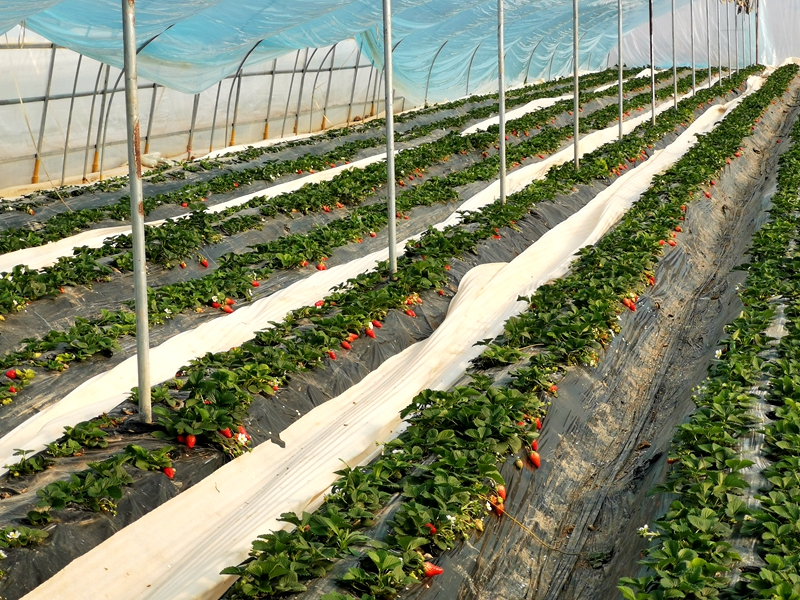 微信图片_20220216093931