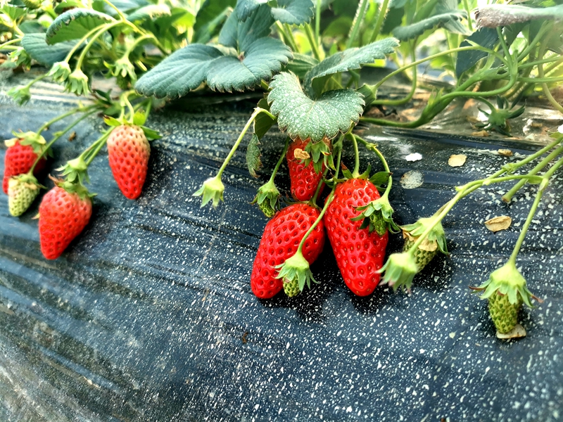 微信图片_20220216093953