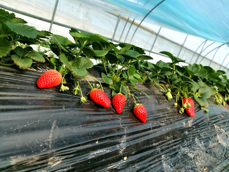 微信图片_20220216093928