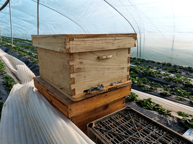 微信图片_20220216093944