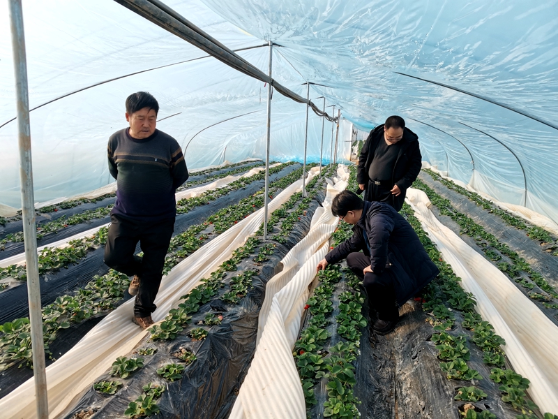 微信图片_20220216093940