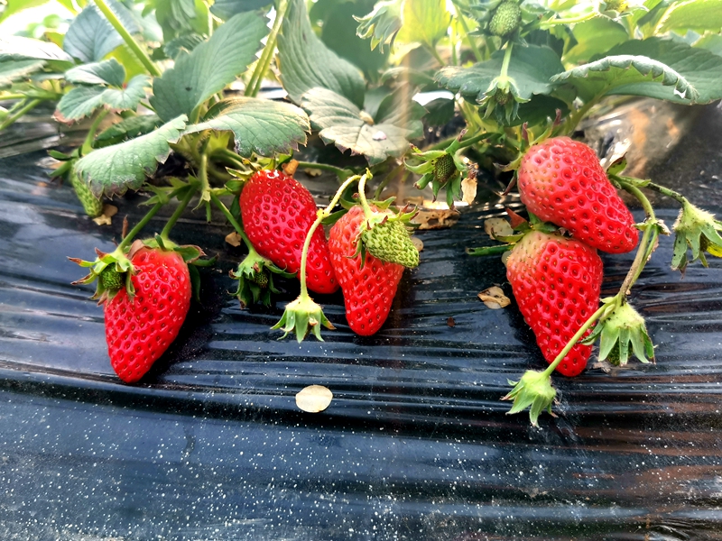 微信图片_20220216093949