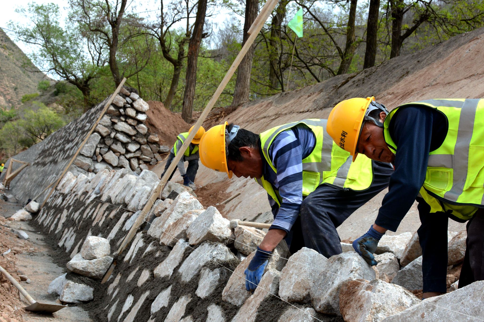 微信图片_20240509151947_副本