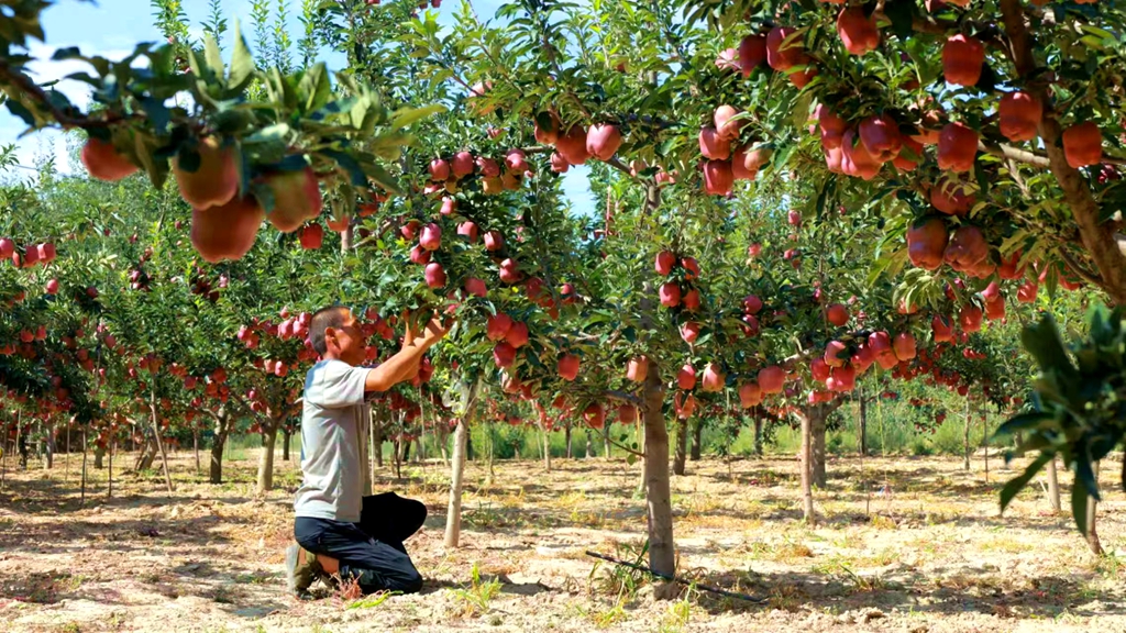 bb70a68329fd535f0ee6c76c8b81202a