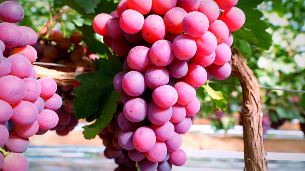 微信图片_20220923163045