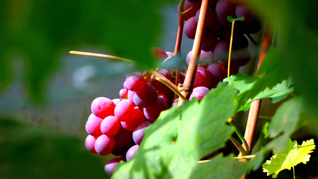 微信图片_20220923163051