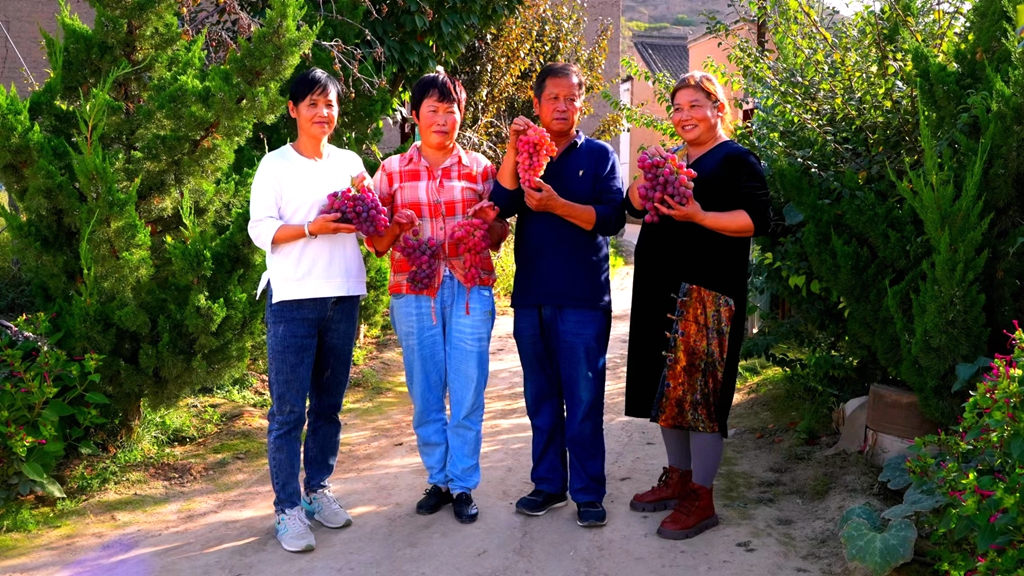 微信图片_20220923163027