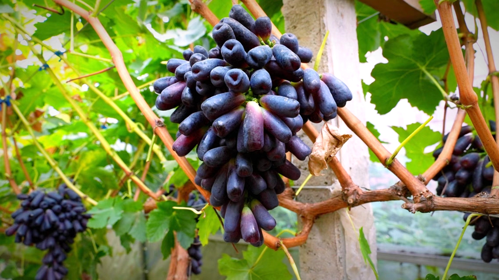 微信图片_20220923163102