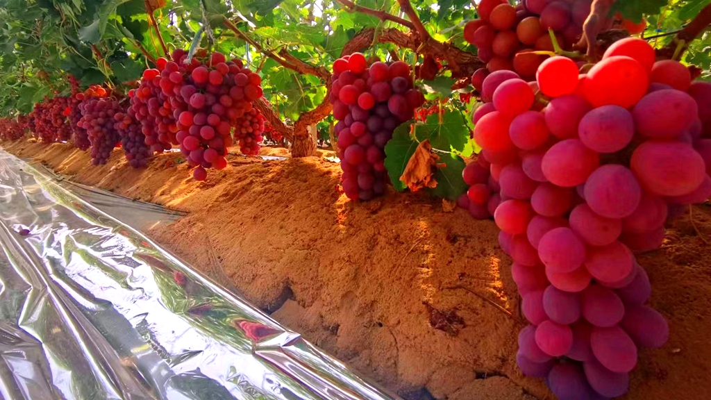 微信图片_20220923163041