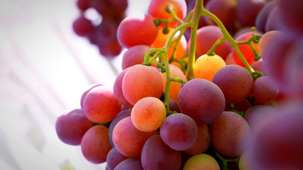 微信图片_20220923163054