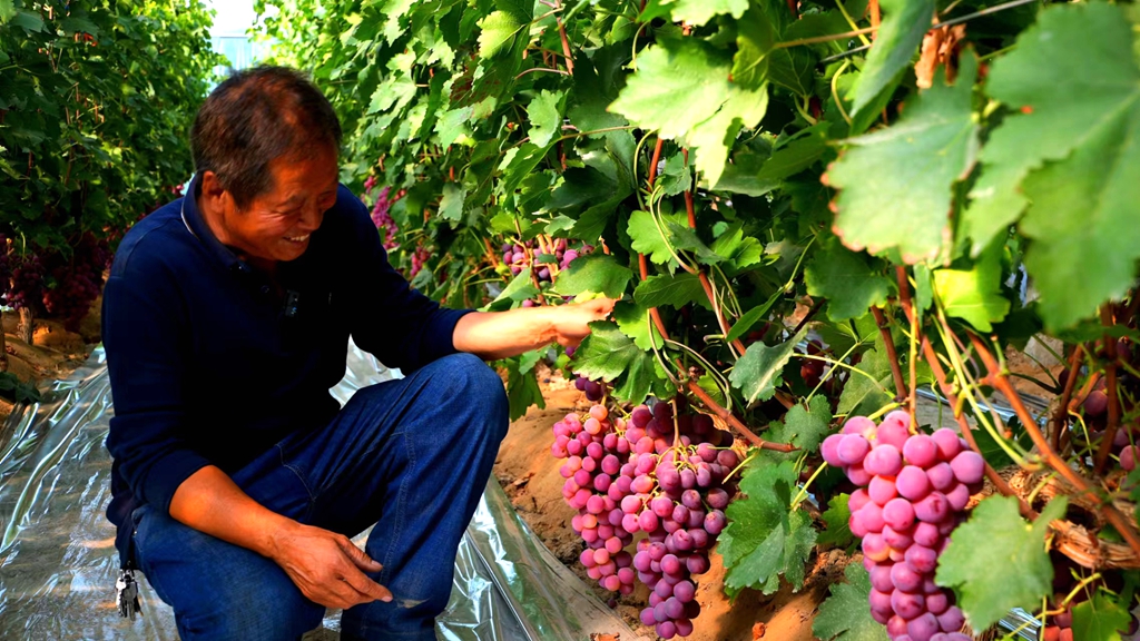 微信图片_20220923163058