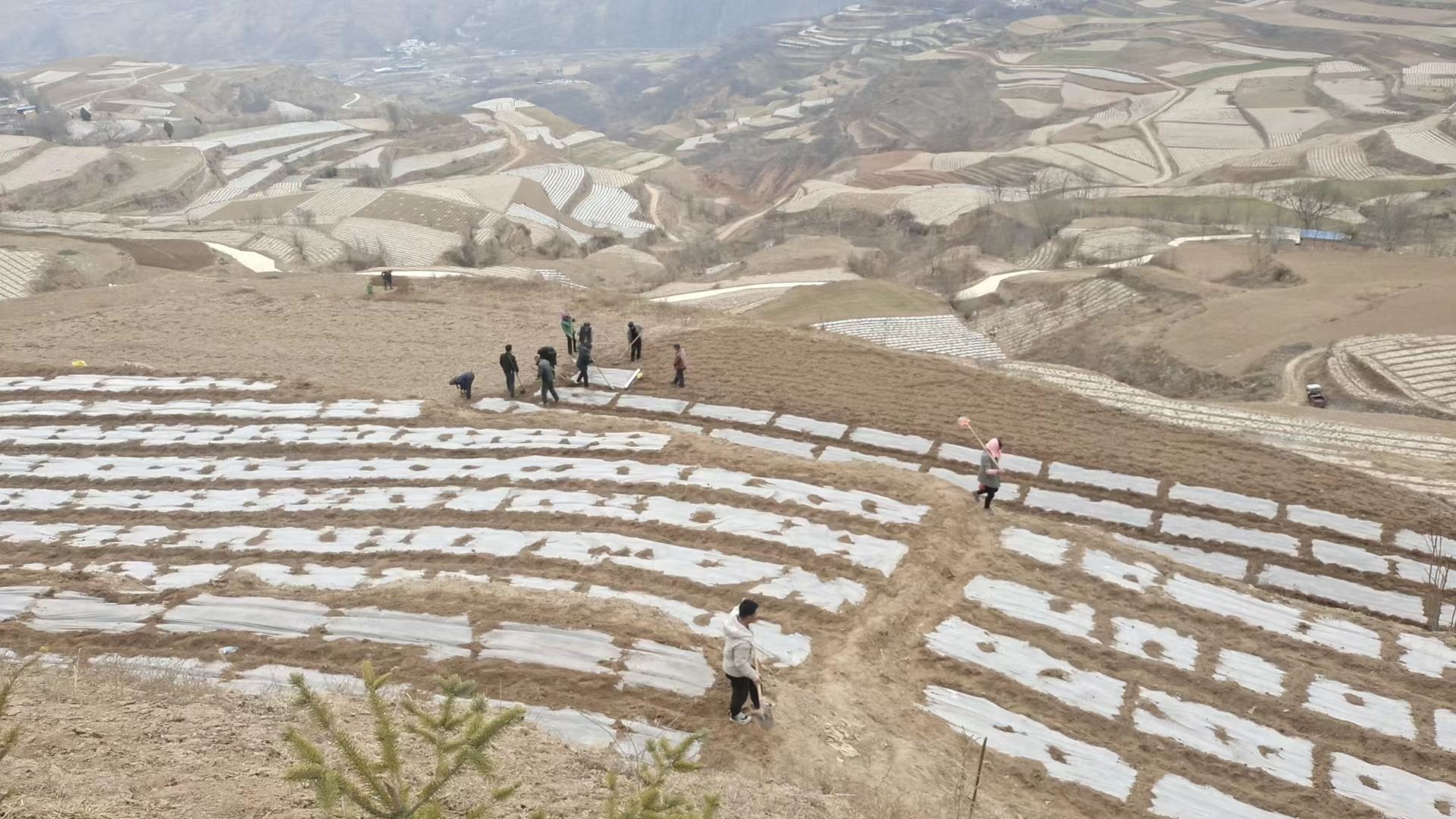 东风遒劲可扬帆正是农忙春耕时四门镇全面奏响春耕生产进行曲