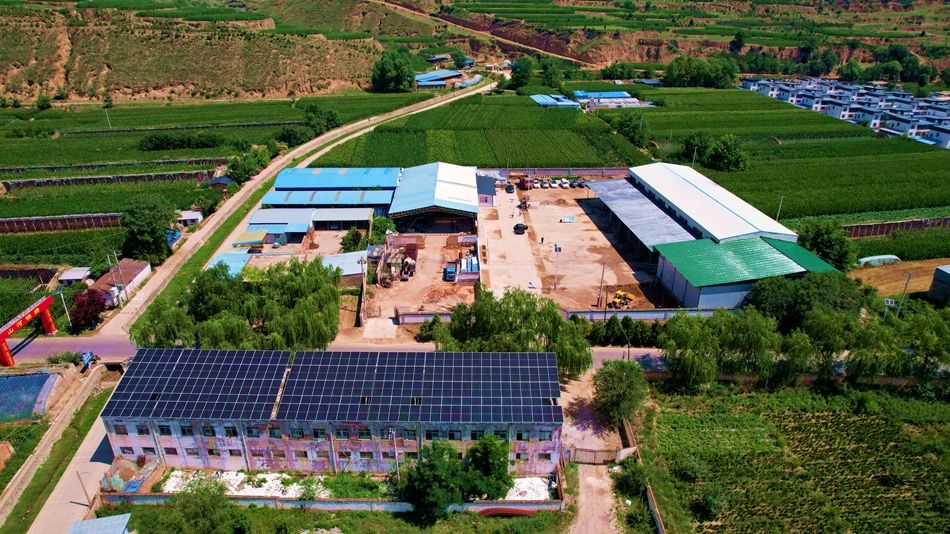 武山县开展2023年上半年重点工作现场观摩活动(一)--天水在线