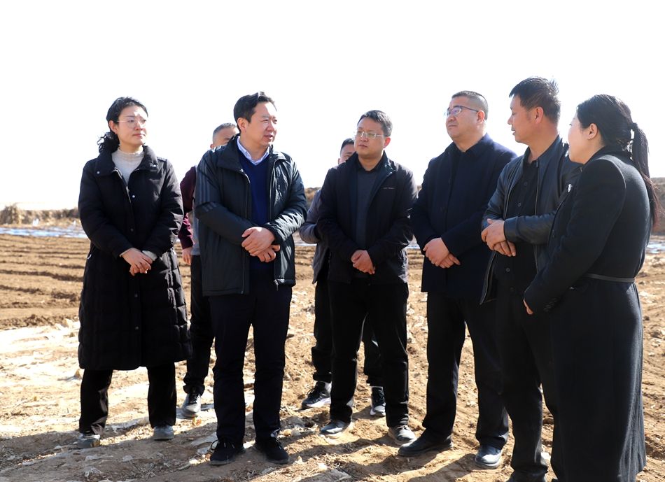 新武山讯(作者 车彤瑶)3月11日,县委副书记,县长王志成带领县政府办