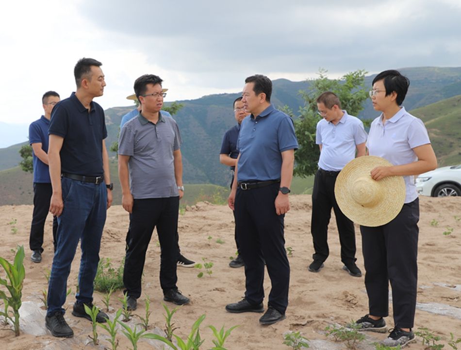 王志成督导调研农业产业发展,巩固拓展脱贫攻坚成果和防汛备汛等工作