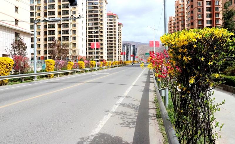 武山县强力推进城市建设管理