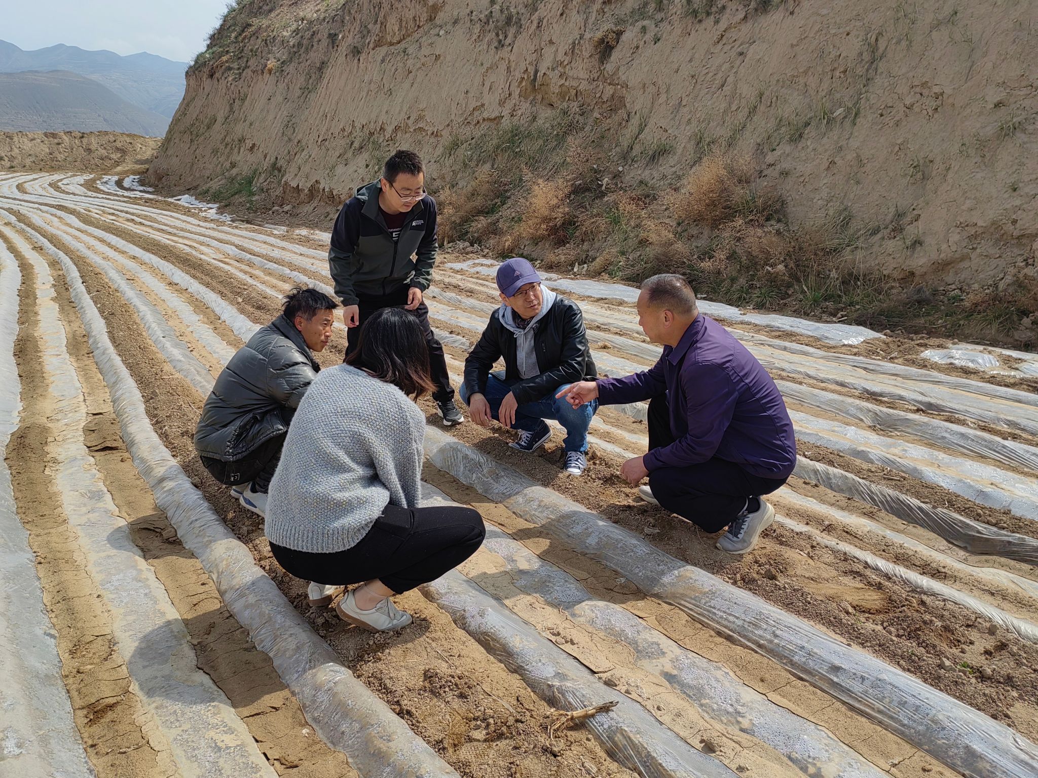 三区科技人才深入田间地头开展春播技术服务