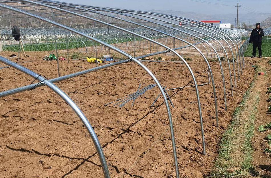 洛门镇钢架大棚建设酣致富之航正扬帆