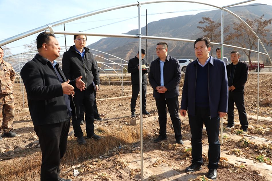 新武山讯(记者 管秋勇)3月13日,县委副书记,县长王志成带领县政府办