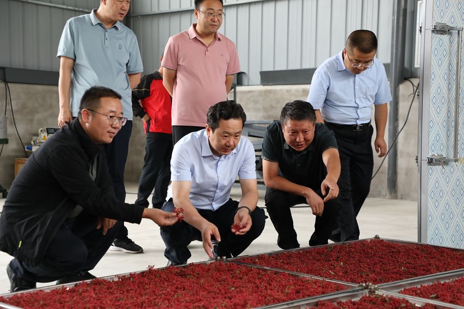 王志成调研生态地灾搬迁和村集体经济发展等工作