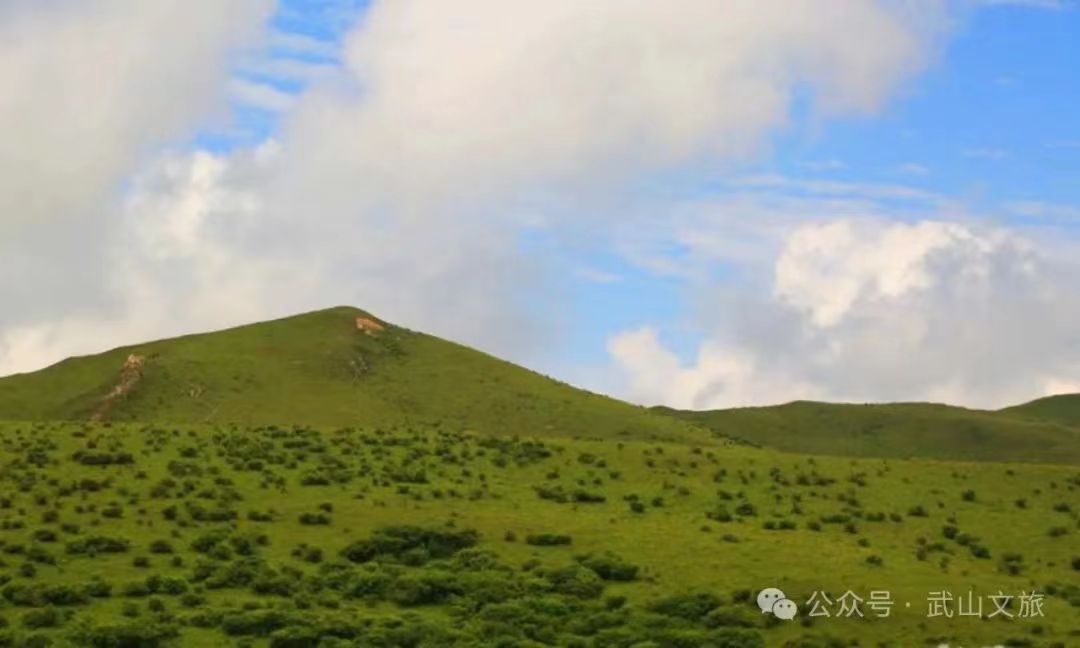 当前位置:>首页>魅力武山>旅游武山>旅游动态>正文1080_648