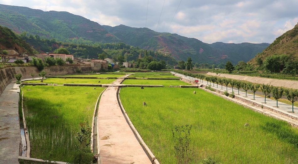 中心>天水新闻>武山>正文(新闻来源:武山县融媒体中心 转载:马文洁)