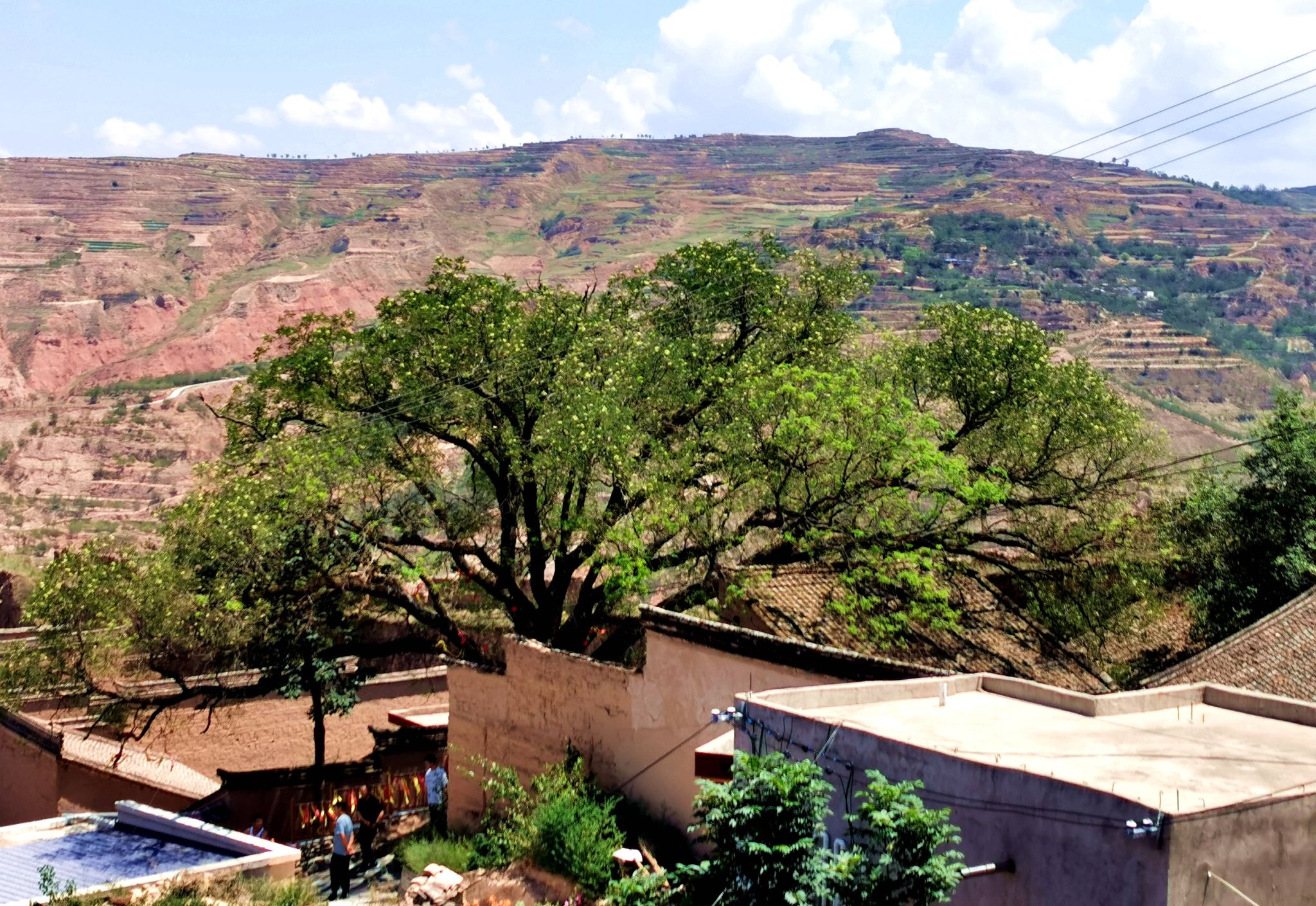 您所在的位置:>首页>新闻中心>天水新闻>武山>正文(新闻来源:武山刎