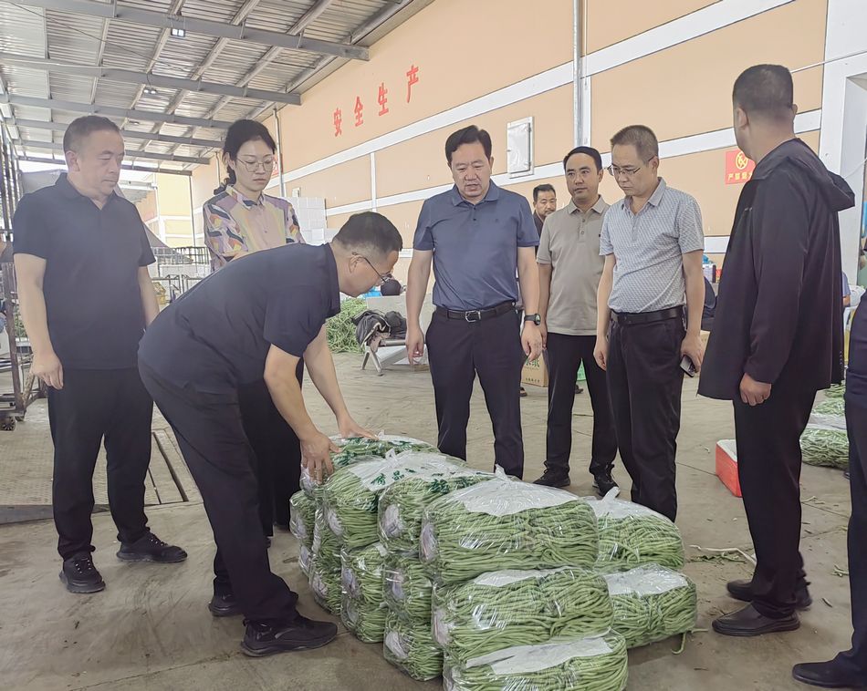 王志成调研重点项目建设农业产业发展和企业经营运行等工作