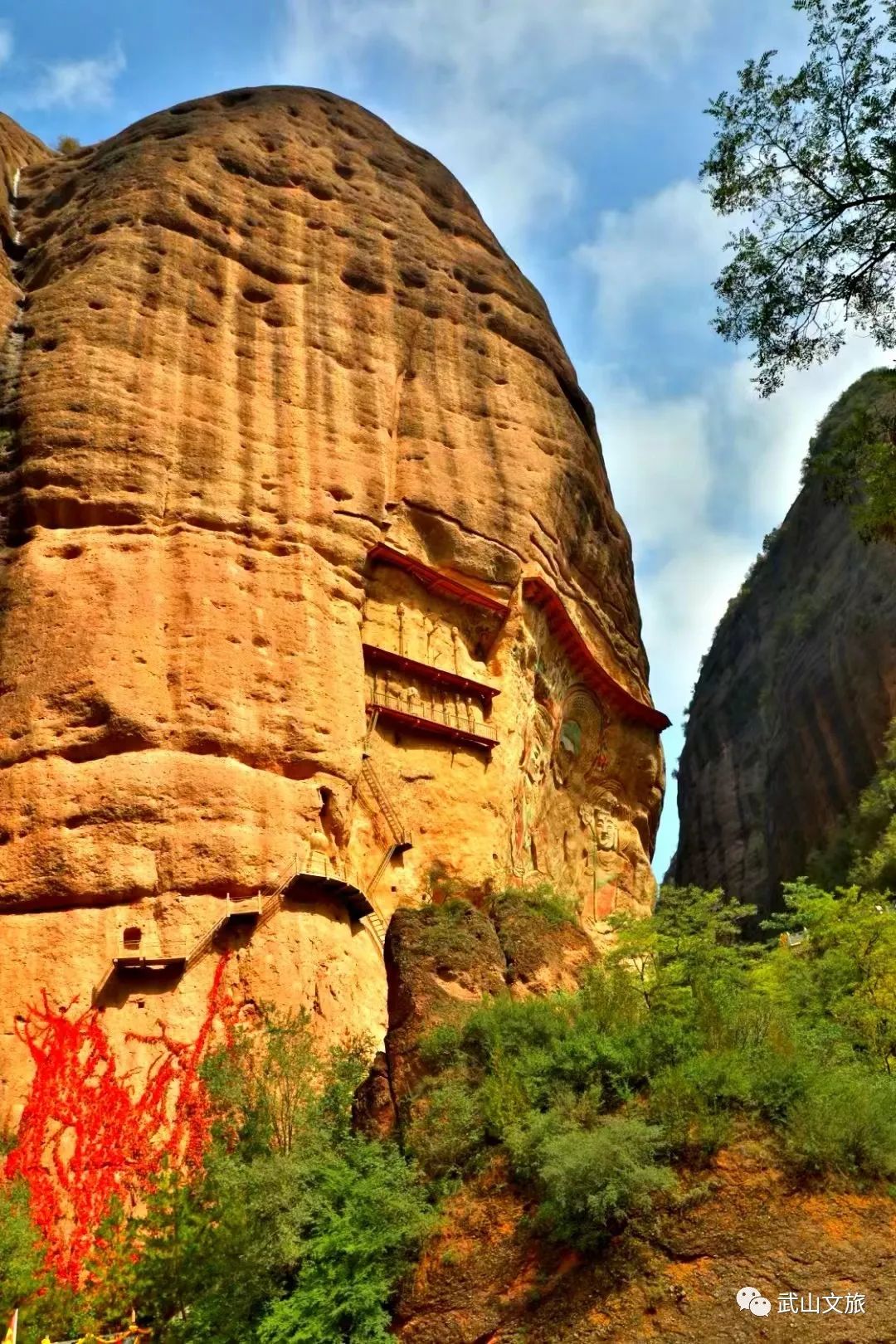 武山县人民政府