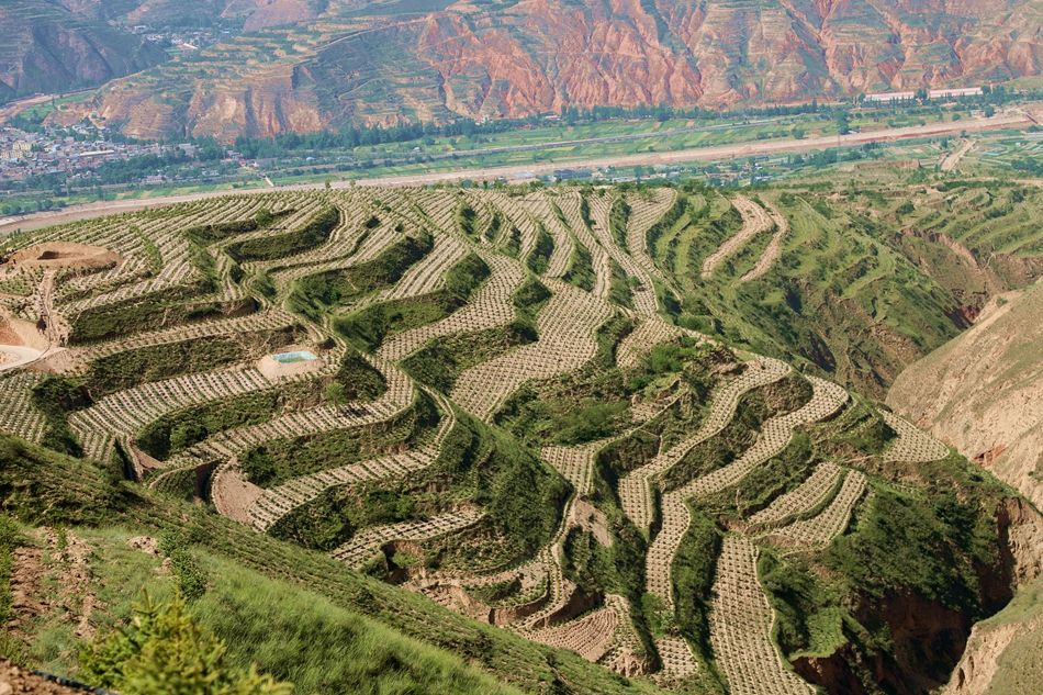 王新强调研指导项目建设,国土绿化,产业发展等工作-武山县人民政府