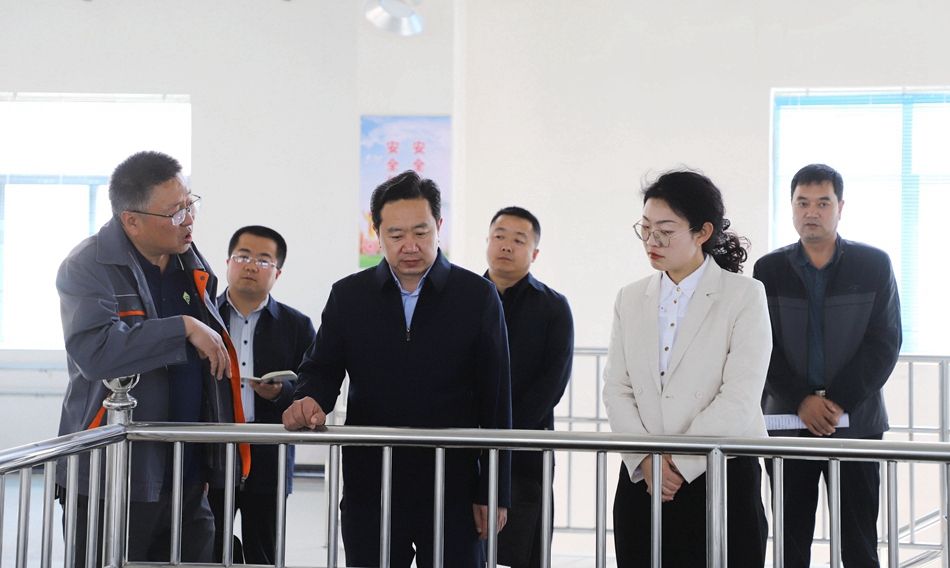 王志成调研指导全县优化营商环境及政务公开工作