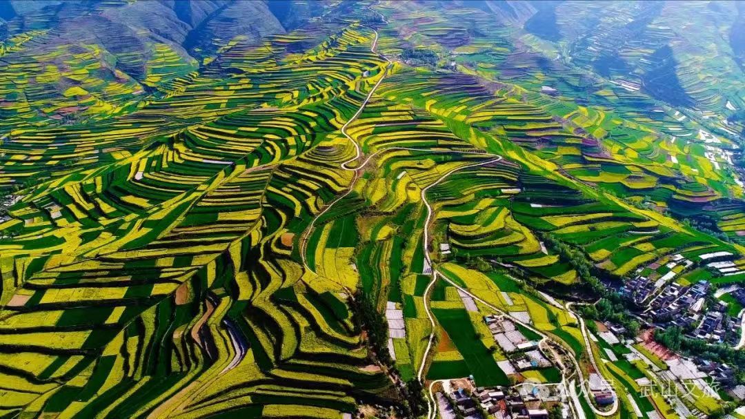 上春山,游武山,自由"行"攻略!
