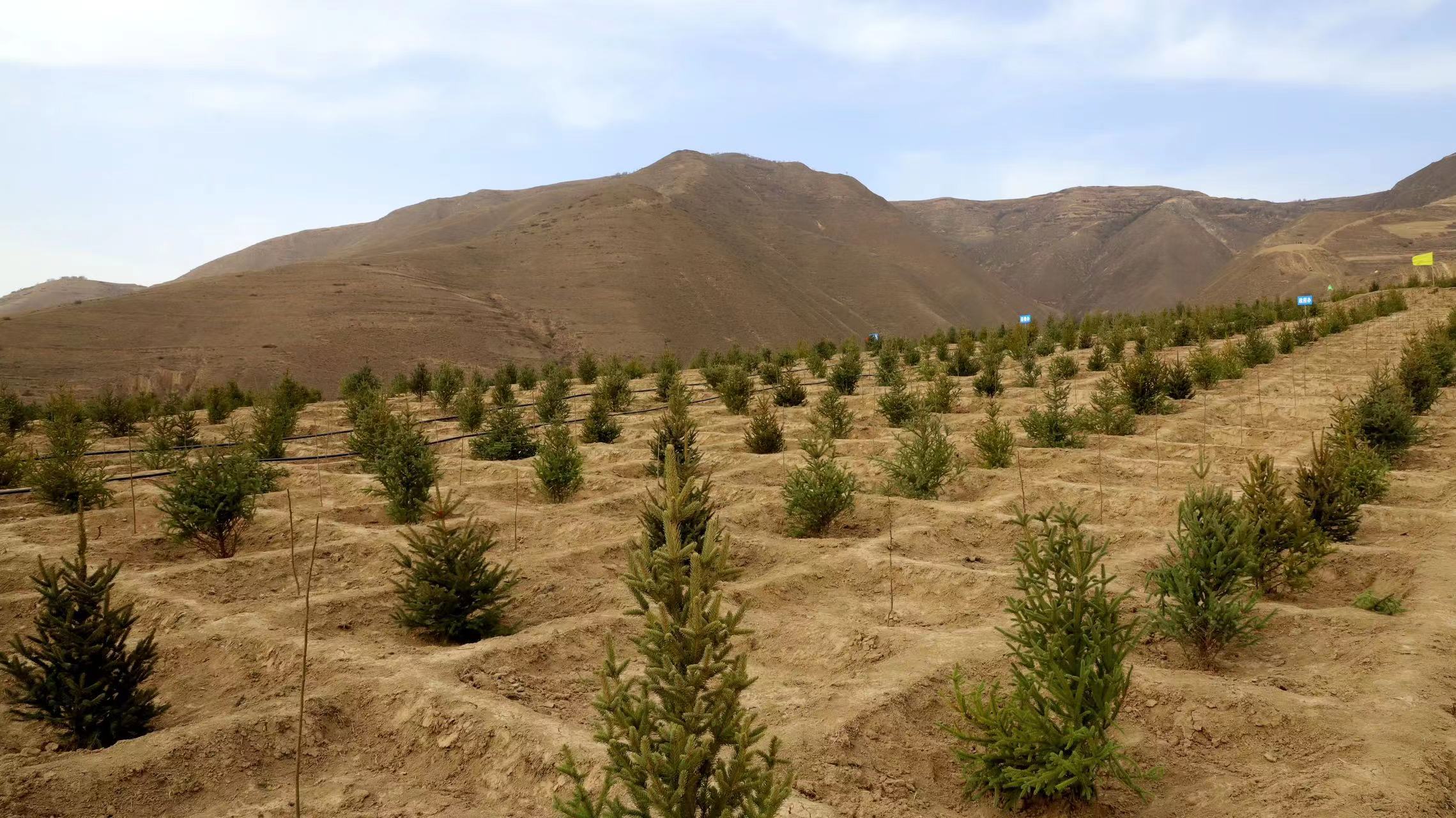 微信图片_20240319215505