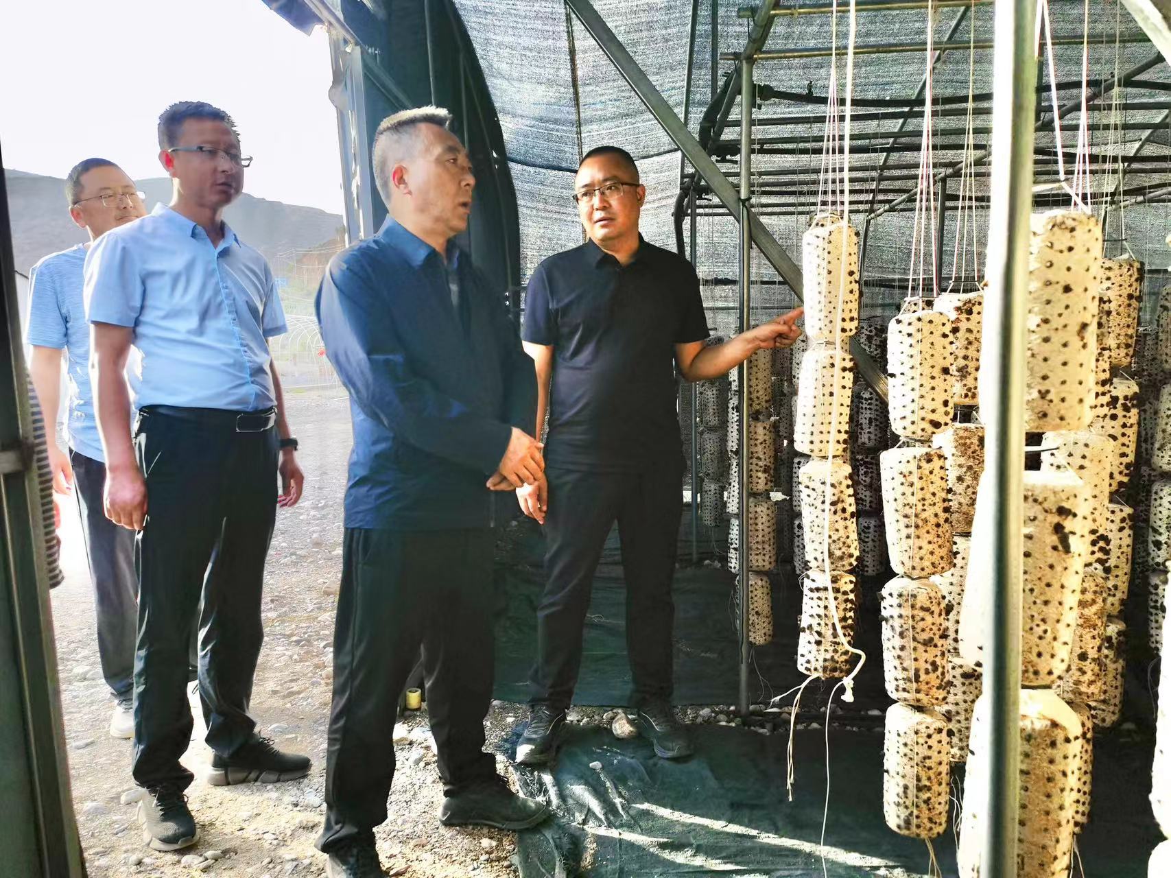 微信图片_20240516221635